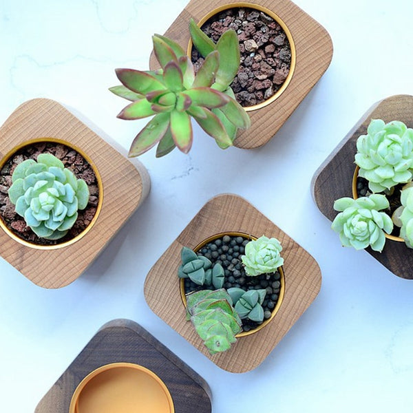 Minimalist Wooden Succulent Planters / Plant Pots - Small, Medium, Large