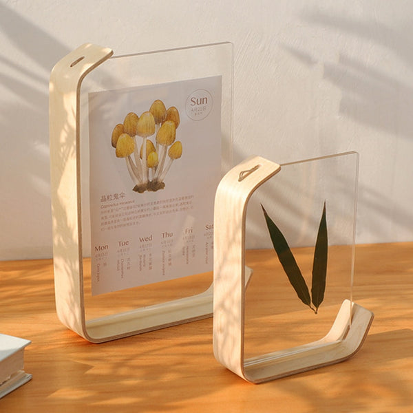 Modern wooden acrylic photo frames - 6, 7 & 8 inch - Beech & Walnut